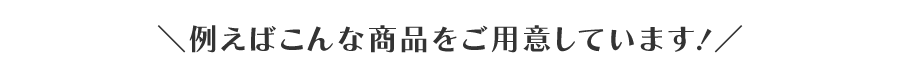 例えばこんな商品をご用意しています！