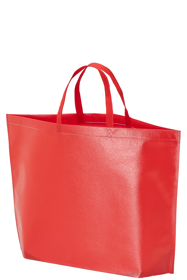 ラミバッグ　底マチ 大