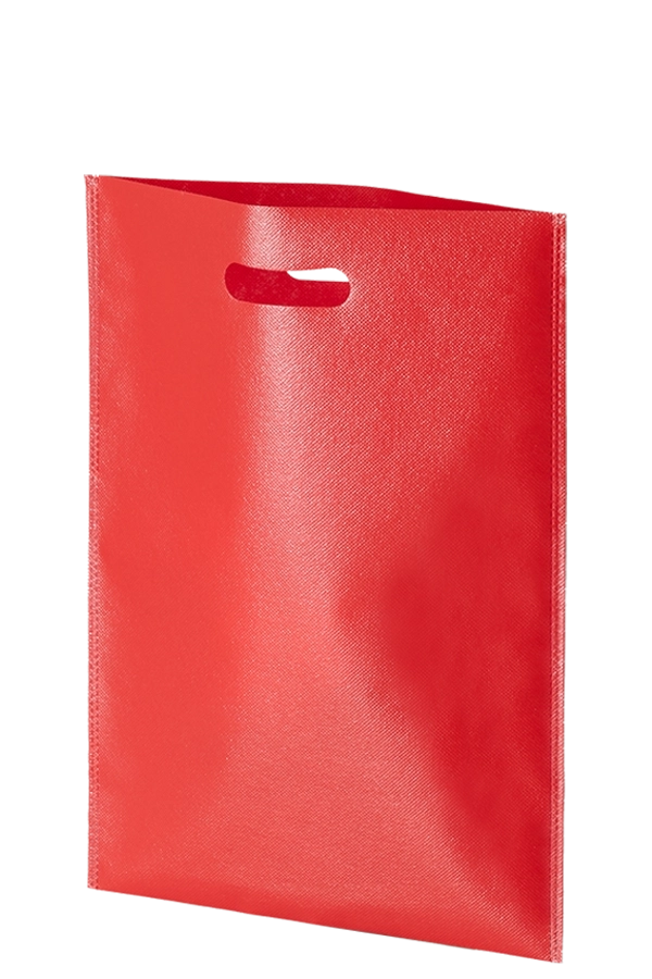 ラミバッグ　小判抜き A4